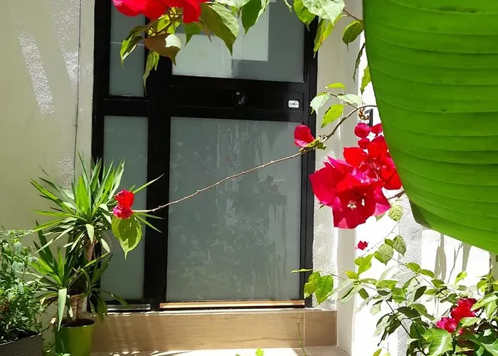 Garden 度假居